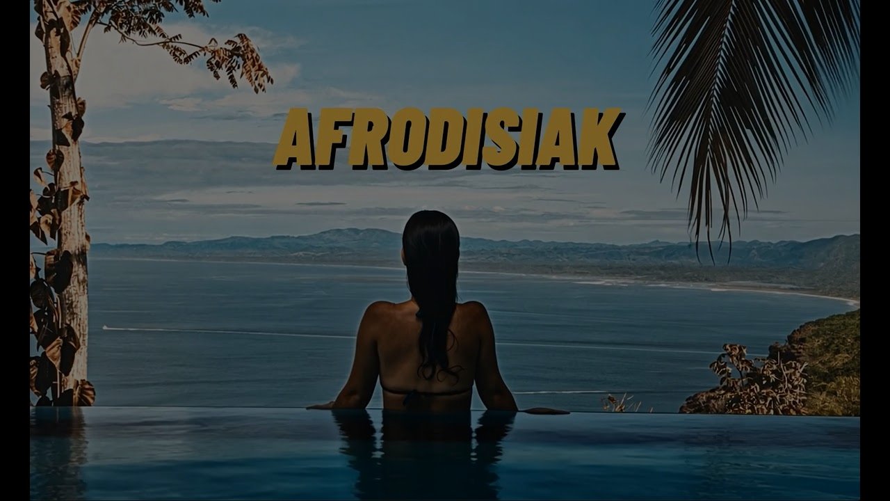 Afro House Mix 2025 style of Afrodisiak - The best tracks of the Year - Kendrick Lamar Type