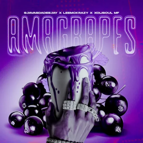 SjavasDaDeejay, LeeMcKrazy & XoliSoulMF – Amagrapes