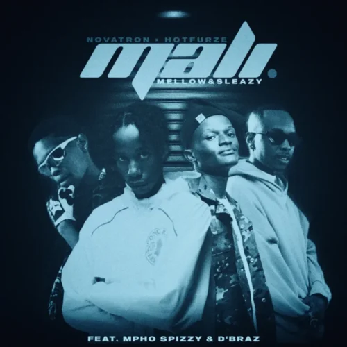 Novatron, Hotfurze & Mellow & Sleazy – Mali (feat. Mpho Spizzy & D’ Braz)