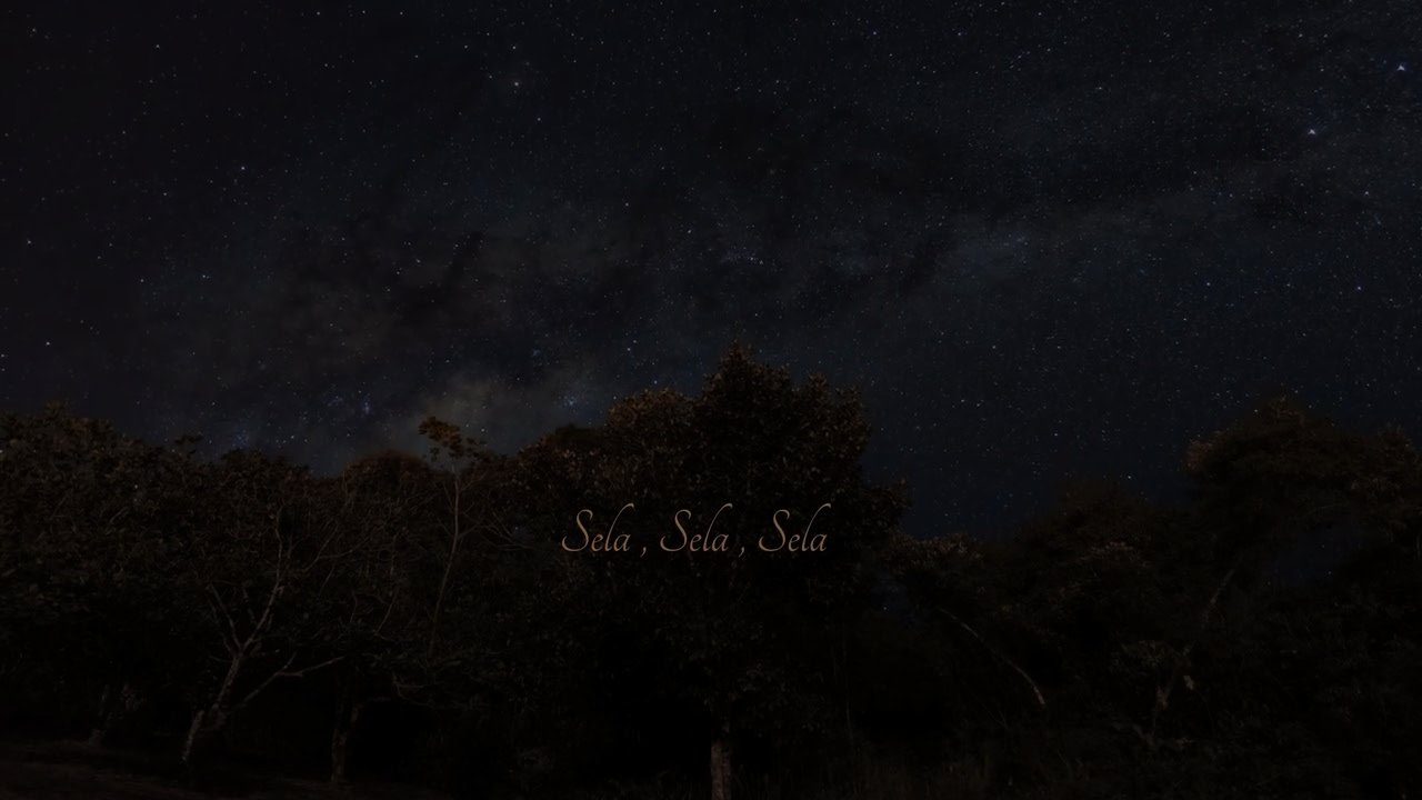 Confy - sela [lyric video]