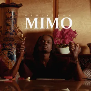 Paulelson MIMO