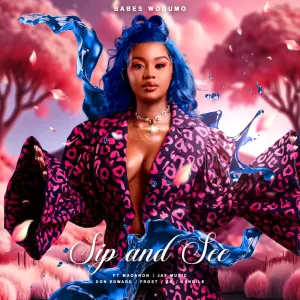 Babes Wodumo – Sip and See (feat. Madanon, Jay Music, Don Edward & Frost)