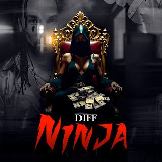 Diff Ninja