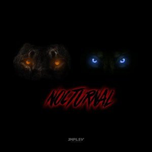 Dwson & !Sooks – Nocturnal