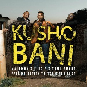 Malemon, Tumilemang & King P – Kusho Bani (feat. DBN Gogo & Mr Nation Thingz)