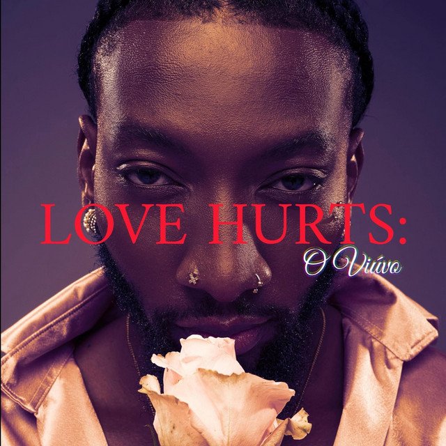 Cover of Love Hurts O viúvo by Dehermes