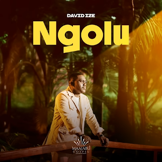David Ize Ngolu