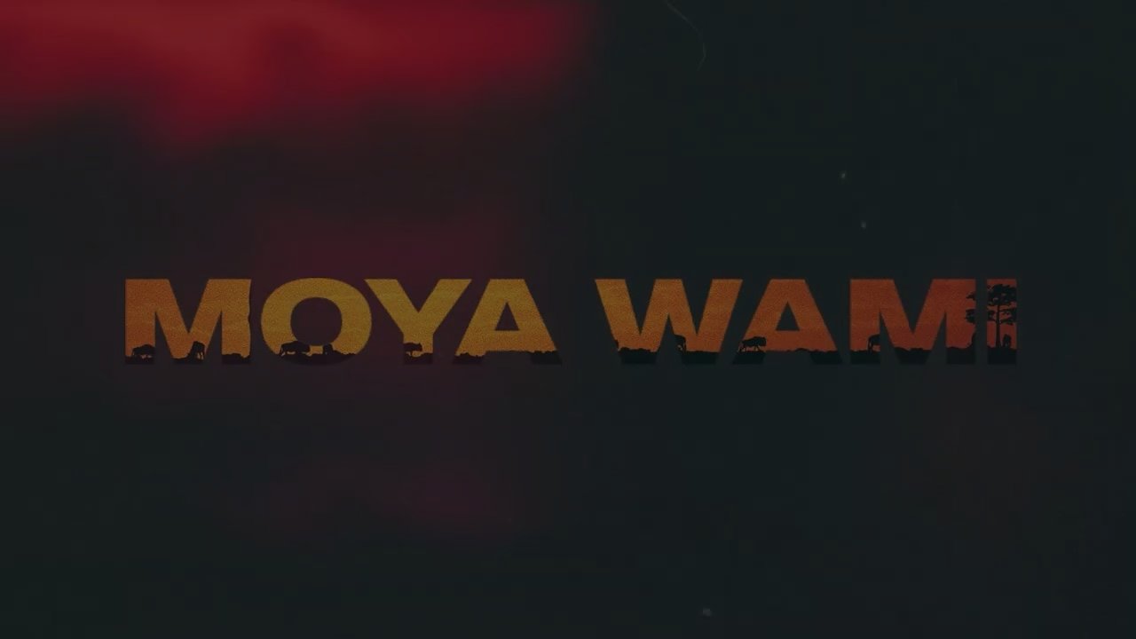 LEWS, Major League DJz, MAPS & Untitled Audio - Moya Wami