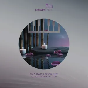 Blac Tears & Pelow Deep – Co Ordinates of Tech (Undulative Tek Work)