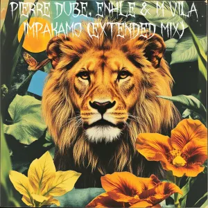 Pierre Dube, Enhle & M Vila – Impakamo