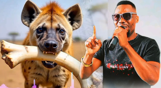 Refilller Boy Magwendere