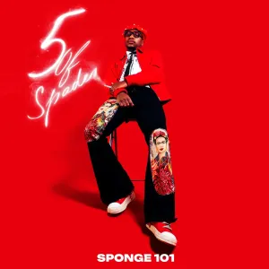 Sponge 101, DBN Gogo & Msongi – Bazozwa
