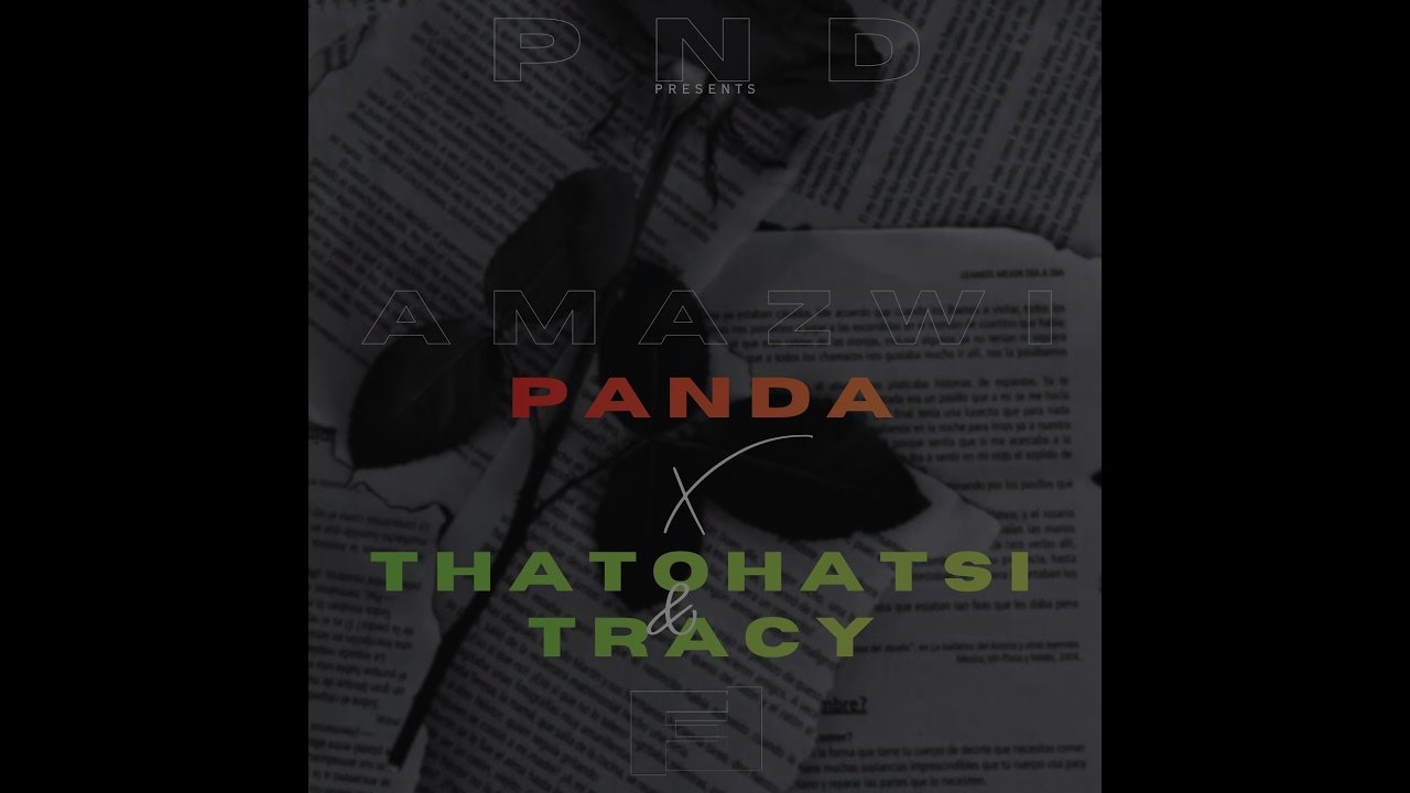 P A N D A - Amazwi (feat. Thatohatsi & Tracy)