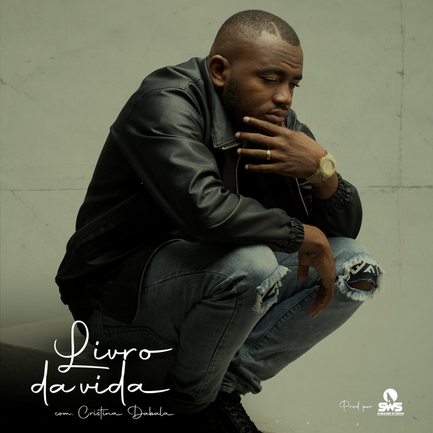 Mr. Fleezow Livro Da Vida