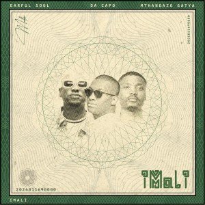 Earful Soul – iMali (feat. Da Capo & Mthandazo Gatya)