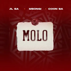 JL SA, Msongi & COON SA – MOLO