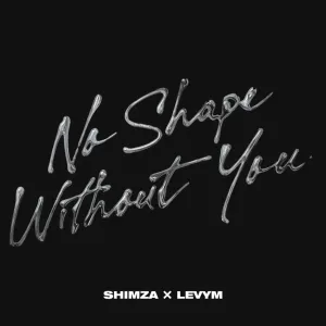 Shimza & LevyM – No Shape Without You