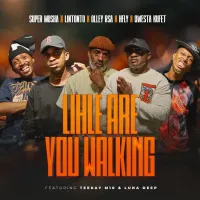 Super Mosha Ottimo, Lintonto, Olley Rsa & HFLY – Lihle Are You Walking (feat. Qwesta Kufet, Teekay M10 & Luna Deep)