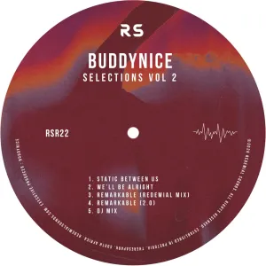 Buddynice – Selections Vol. 2
