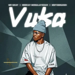 Mr GKay, Beekay Monalayzzar & MNTOMNANDI – VUKA