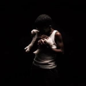 Nandipha808 CAAZA Who Made Who Album 300x300