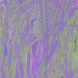 Omagoqa, Sizwe Alakine & K.Keed – Jumanji (feat. Jepedoh, Mvelo Makhanya & Ms. Cosmo)