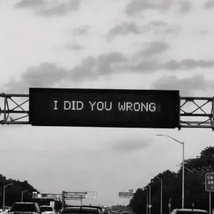 Phoenix Sounds & Shallow Melodies – I Did You Wrong