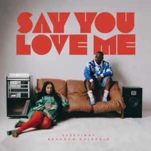 Shekhinah & Brandon Dhludhlu – Say You Love Me
