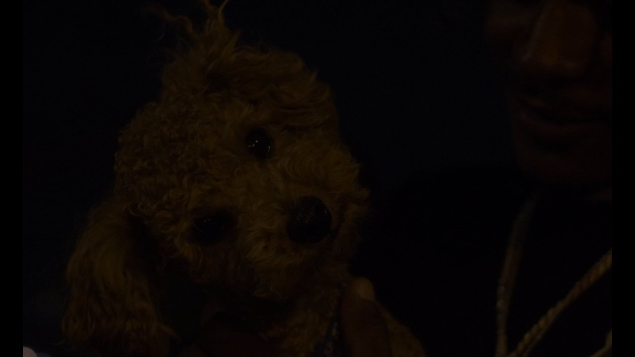 Rednav - TWINNEM (feat Young D)