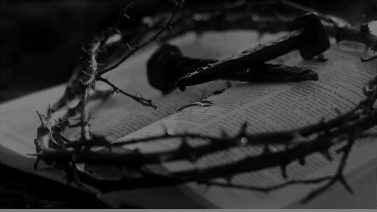 TiGonzi - Wrong Turn