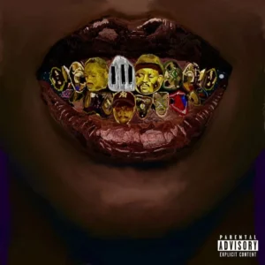 The Big Hash Sly and Kabza De Small Love Is a Star Album 300x300