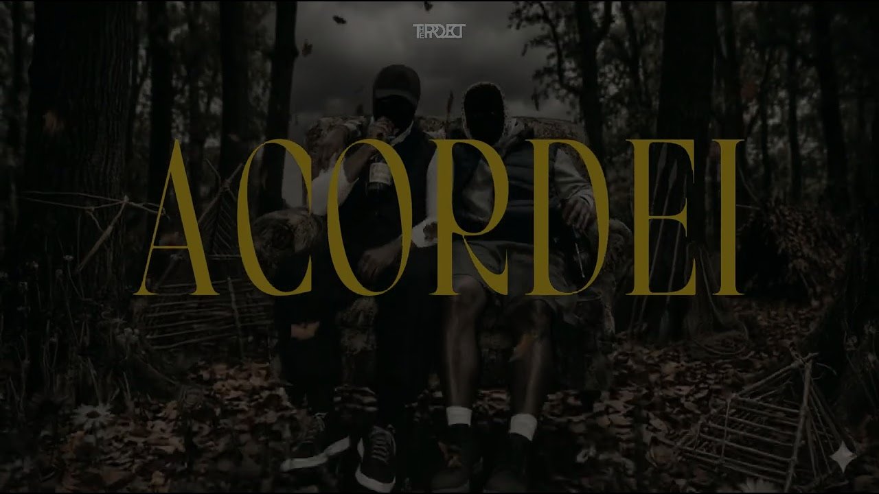 ALEXANDRE CAMPOS, BABYWALK - ACORDEI (feat. D Money , He's Chapo)