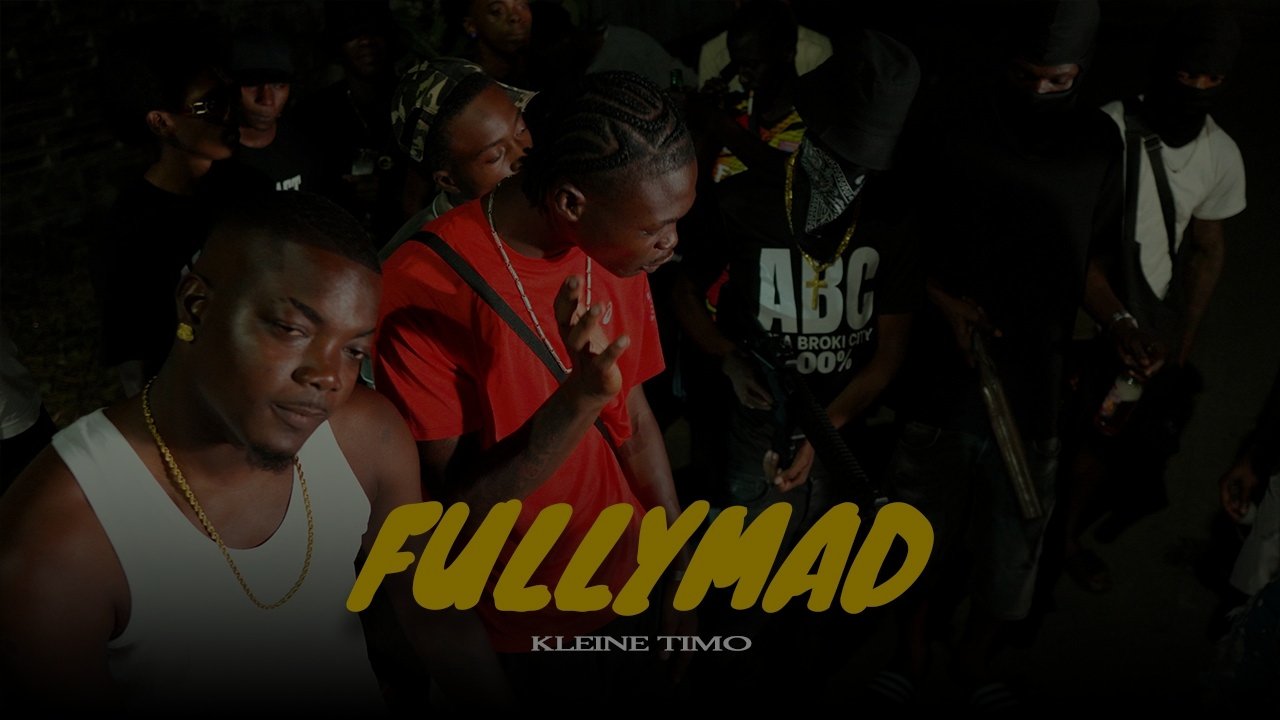 Kleine Timo - Fully Mad