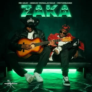 MR Gkay, Beekay Monalayzzar & Mntomnandi – ZAKA
