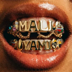 Sir Trill, uDoti uDemedi, Snaka & K Zaka – Mali Yami (feat. Born Kxng & Deestar ZA)