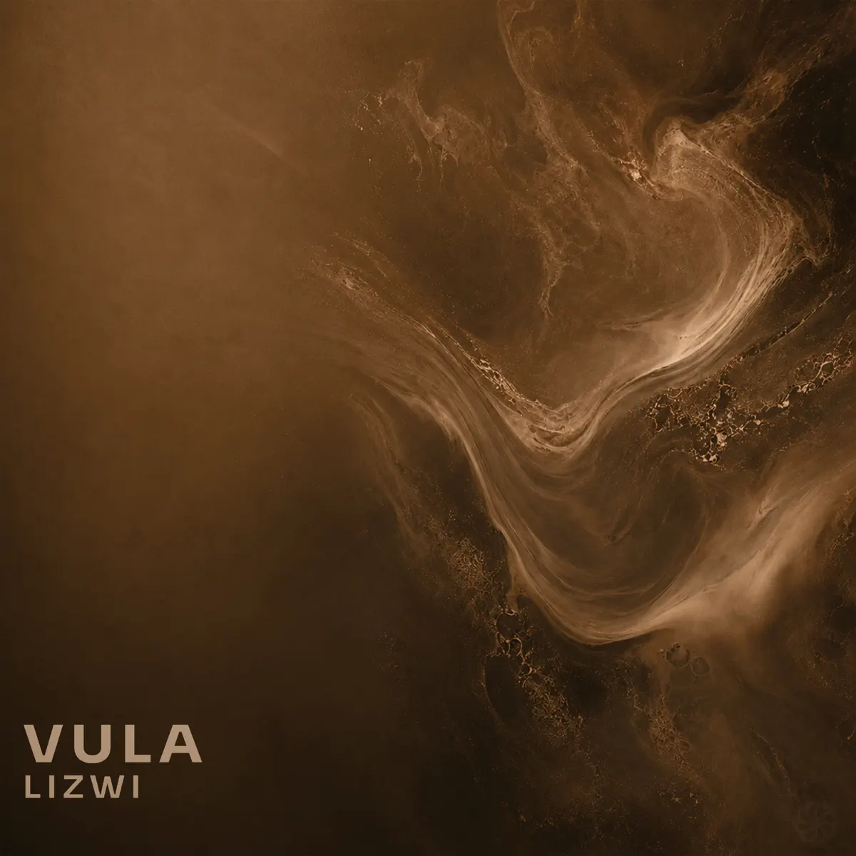 Lizwi – Vula