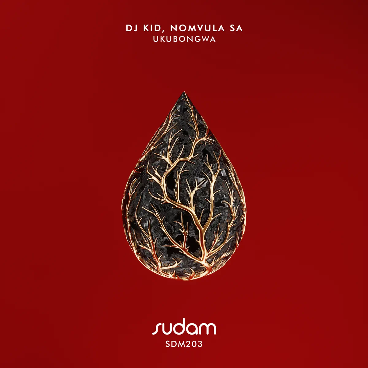 DJ KID & Nomvula SA – Ukubongwa (Original Mix)