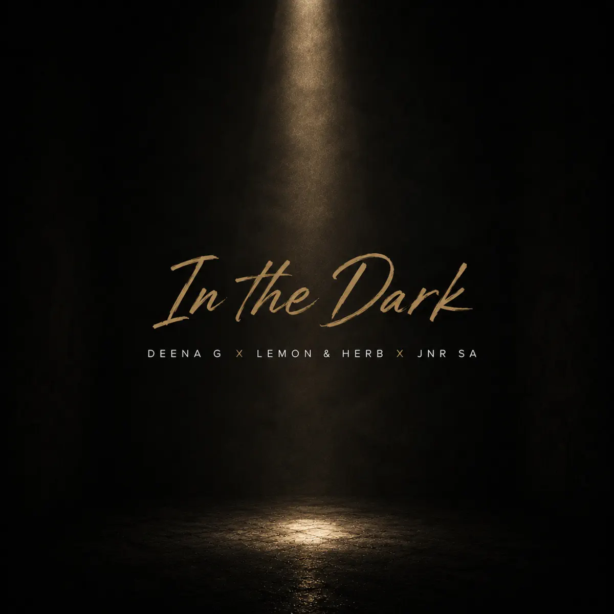 Deena G, Lemon & Herb & Jnr SA – In The Dark