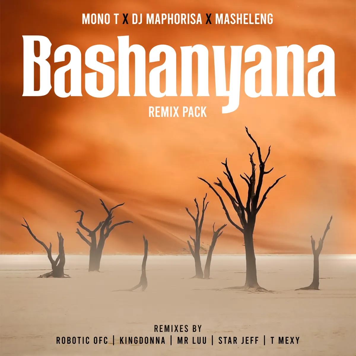 Mono T, DJ Maphorisa & Masheleng – Bashanyana (Remix Pack)